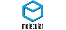 MOLECULAR